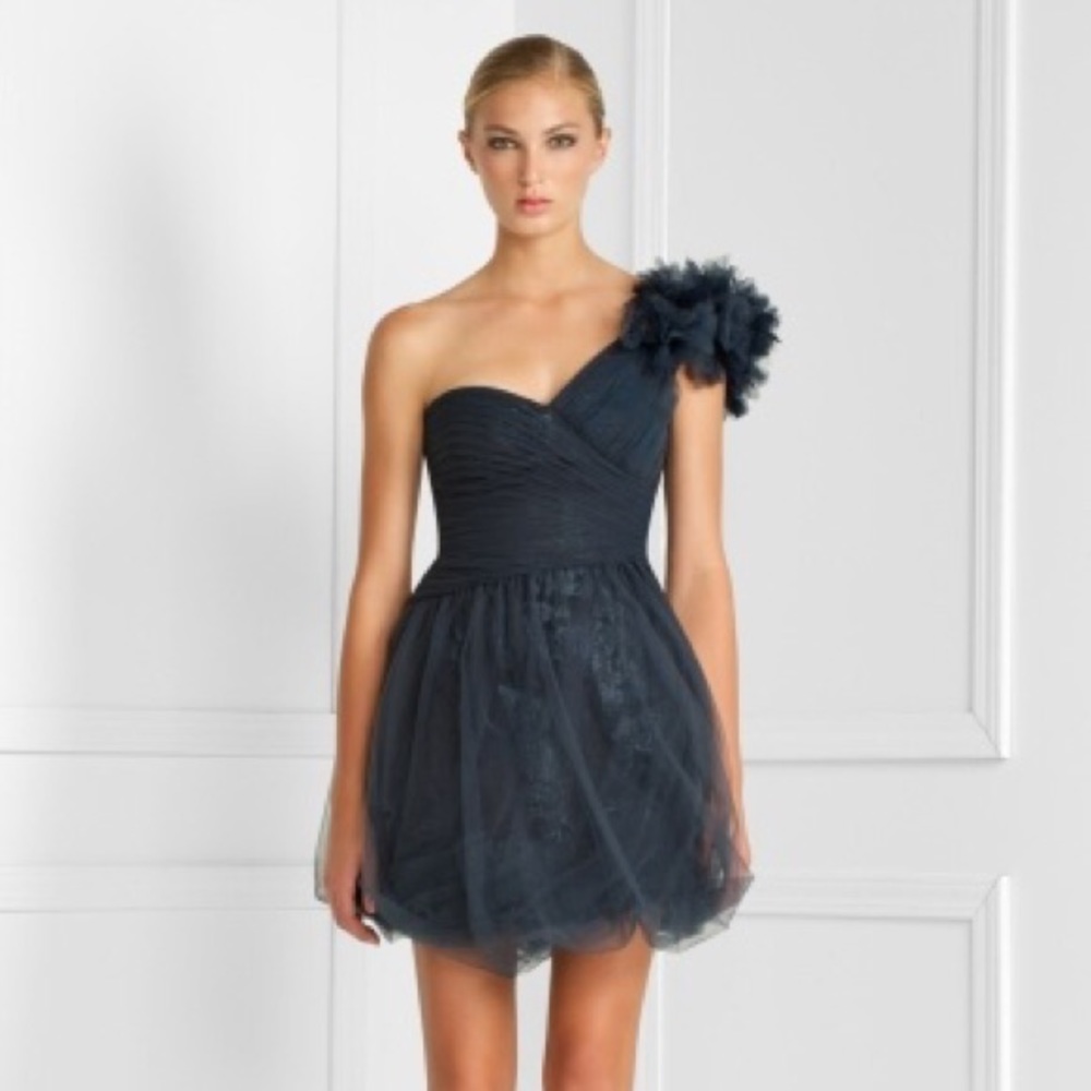 BCBG Navy Tulle Cocktail Dress